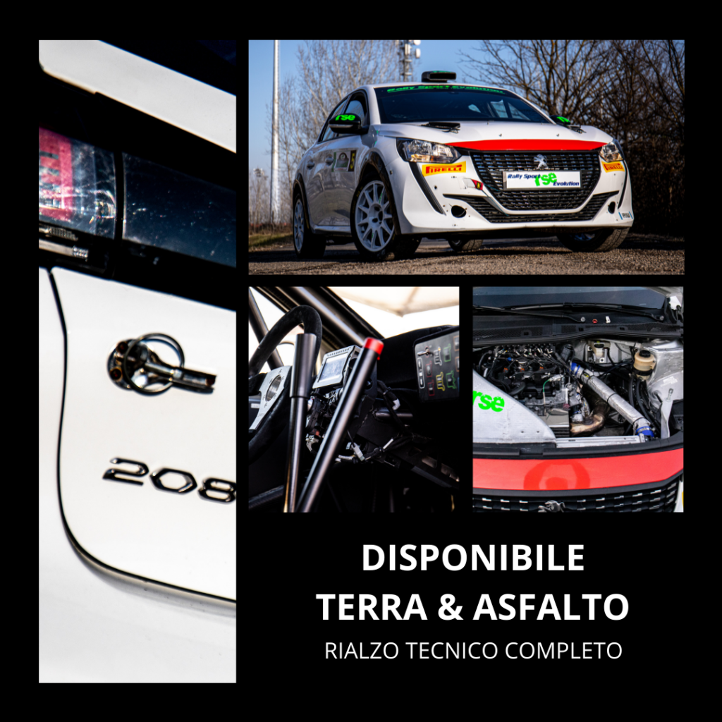 Copertina Peugeot 208 Rally4
